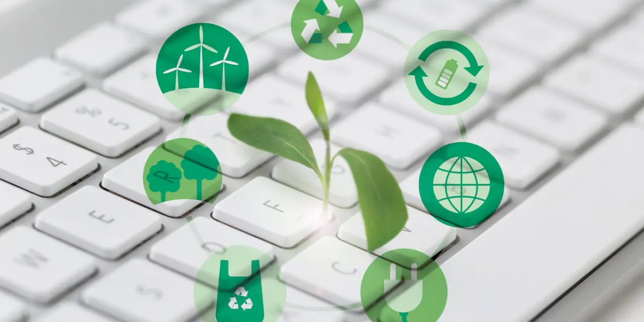 Plant growing on keyboard with digital sustainability icons.