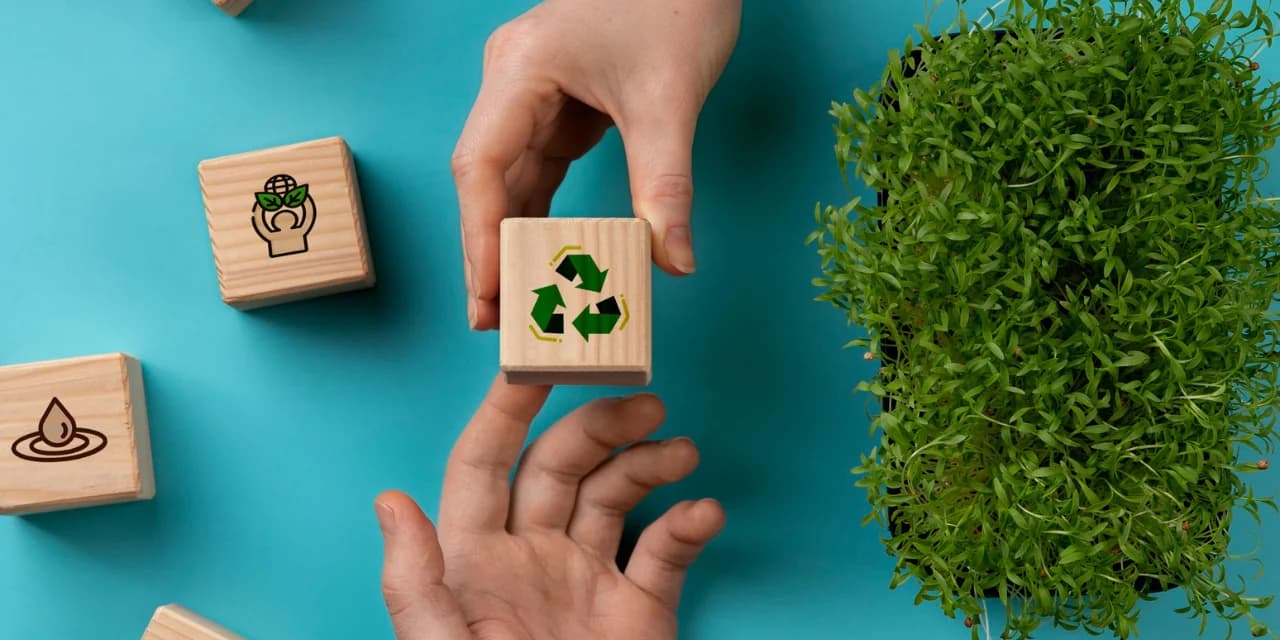La imagen muestra dos manos sosteniendo un bloque de madera con el símbolo de reciclaje (tres flechas verdes que forman un triángulo) resaltado en el centro. A su alrededor hay otros bloques de madera con iconos relacionados con la sostenibilidad, como una gota de agua y una planta que brota de una mano que sostiene el planeta. A la derecha de la imagen, hay una planta de un verde vibrante que ocupa gran parte del espacio lateral. El fondo es de color azul claro, lo que transmite una sensación de frescura y armonía con la naturaleza.