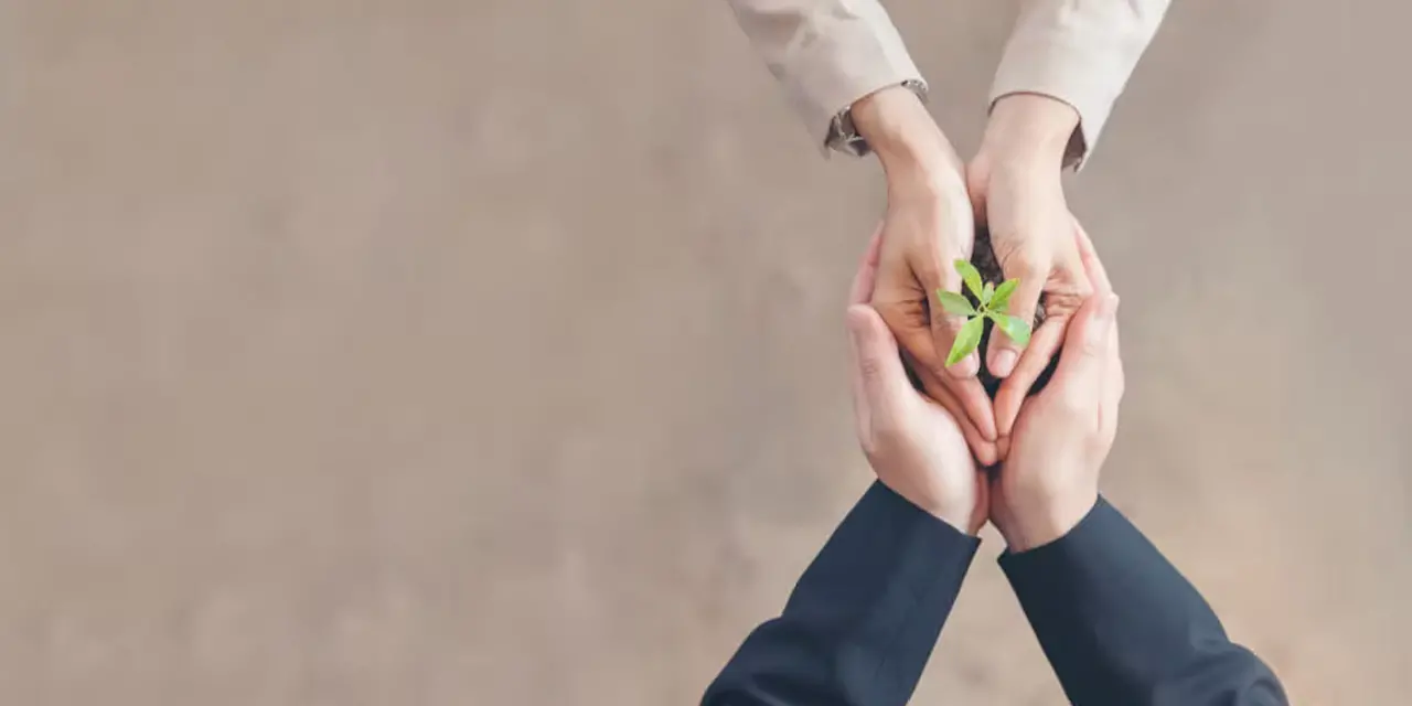 Duas pessoas apertando ambas mãos e segurando planta