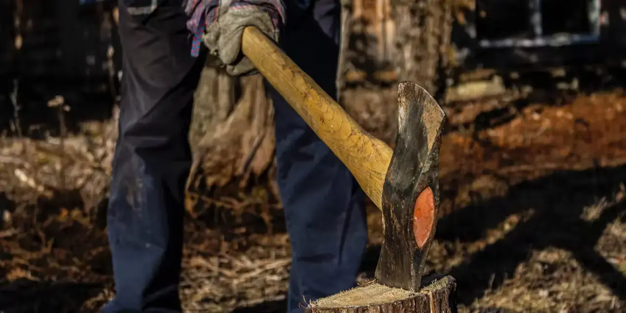 Malefactors of the paper industry