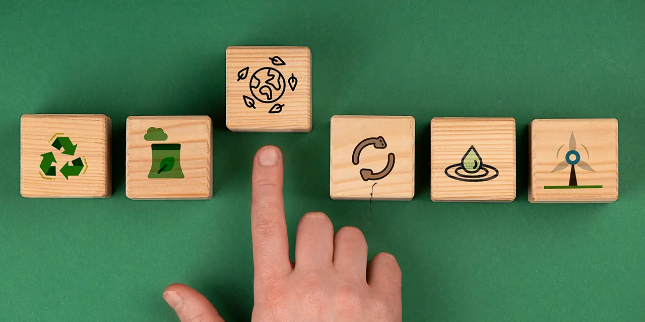 Sustentabilidade aplicada nos planejamentos pessoais e corporativos