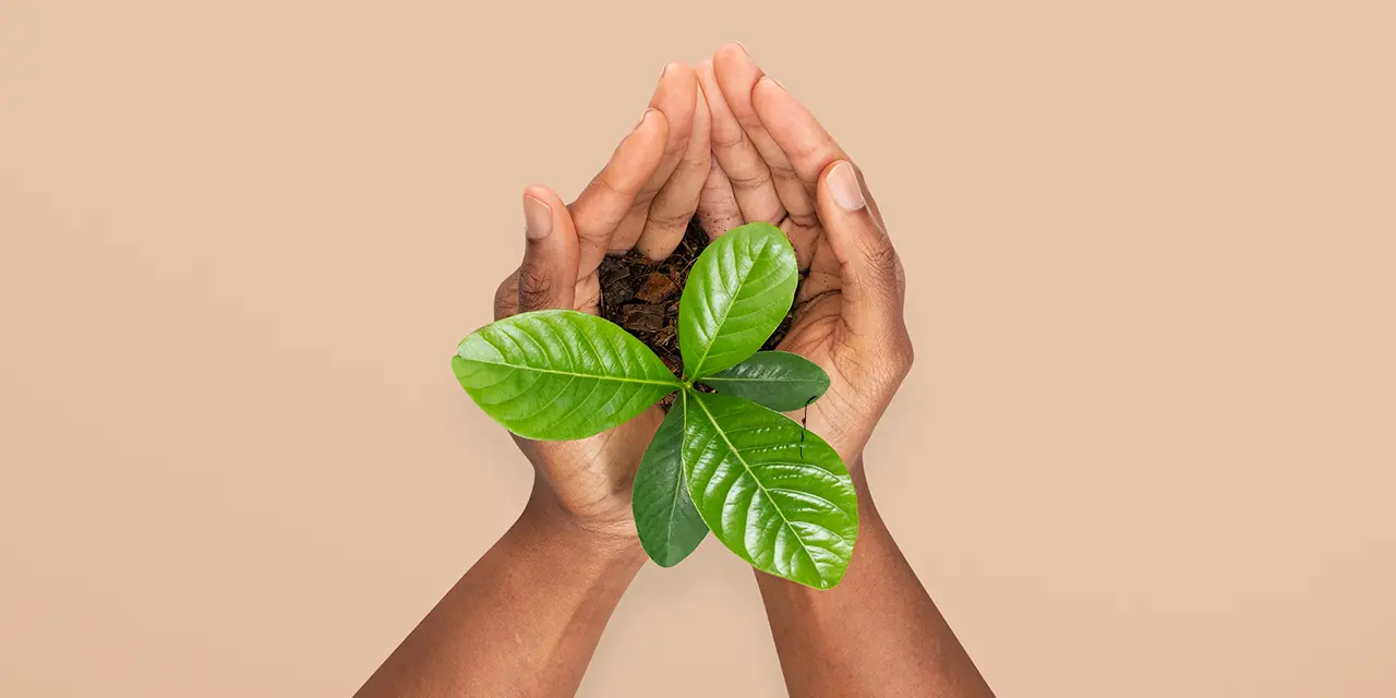 Hábitos sustentáveis para a vida pessoal e profissional