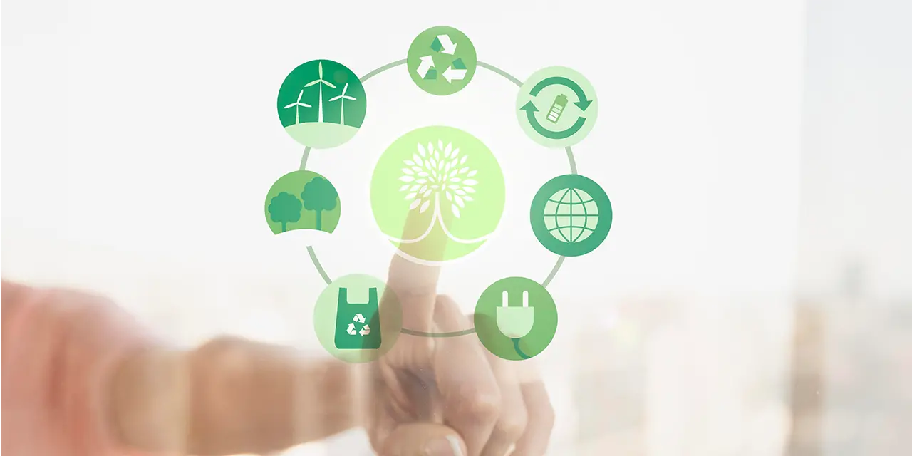 Princípios de uma cultura sustentável em empresas