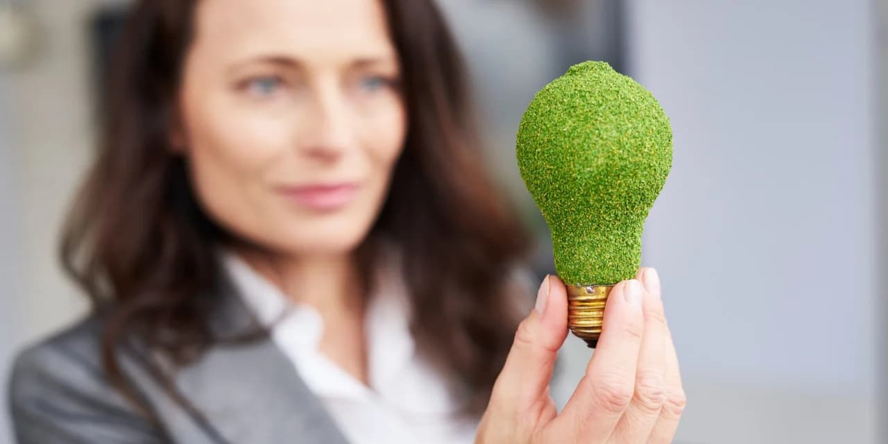 Uma mulher de cabelos castanhos, usando um blazer cinza e camisa branca, está segurando uma lâmpada simbólica coberta por uma textura verde que simula grama, representando uma ideia de sustentabilidade e inovação ecológica. A mulher está levemente desfocada ao fundo, enquanto a lâmpada está em foco na frente, destacando o conceito de energia sustentável ou soluções verdes. O fundo é neutro, sugerindo um ambiente corporativo ou profissional.