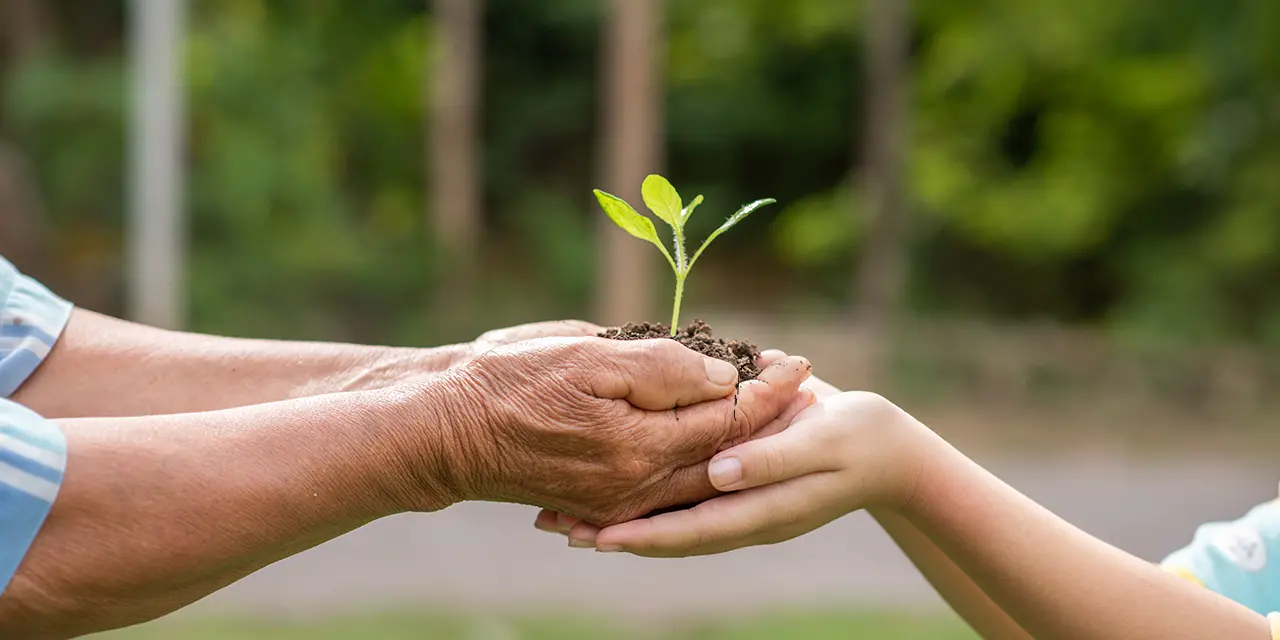 Pessoas trabalhando juntas para um futuro mais sustentável.