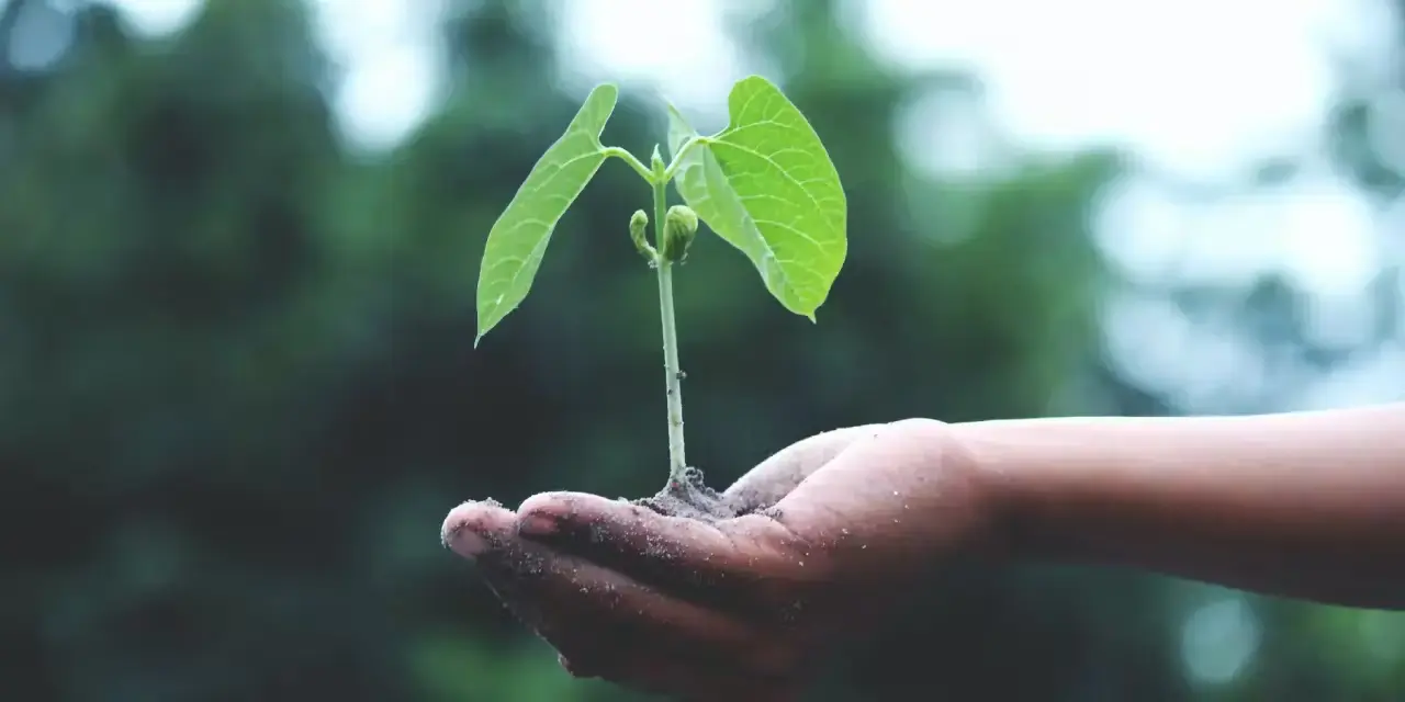 Corporate sustainability