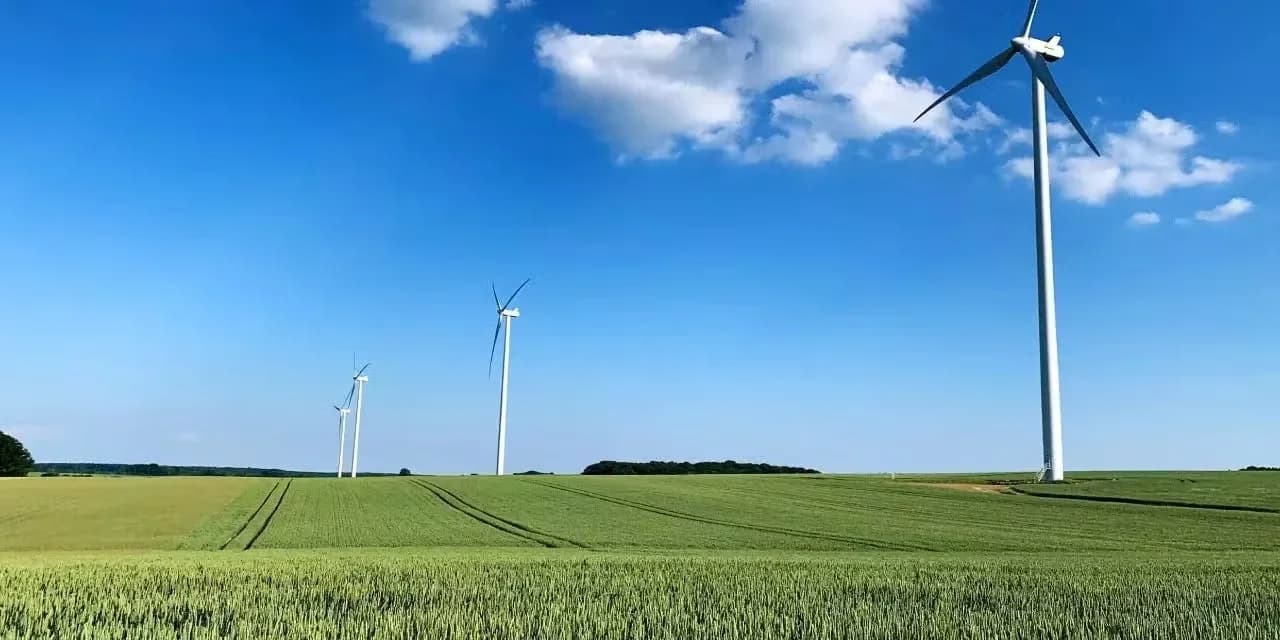 Os valores da ESG podem ser aplicadas em pequenas e grandes ações da empresa.